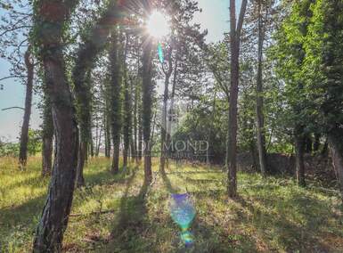 Zemljiste, Žminj, Krničari, prodaja, 125000 €, 1707 m2