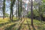 Zemljiste, Žminj, Krničari, prodaja, 125000 €, 1707 m2