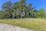 Zemljiste, Žminj, Krničari, prodaja, 125000 €, 1707 m2