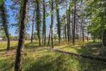 Zemljiste, Žminj, Krničari, prodaja, 125000 €, 1707 m2