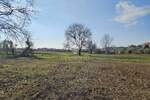 Zemljiste, Novigrad, prodaja, 229000 €, 649 m2