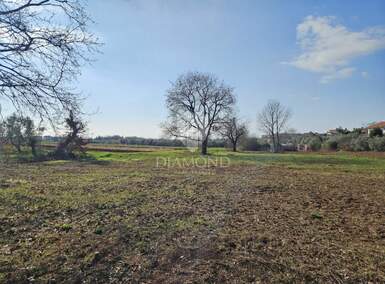 Zemljiste, Novigrad, prodaja, 229000 €, 649 m2