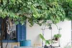 Kuca, Vinodol, Drivenik, prodaja, 260000 €, 130 m2