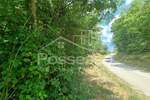 Zemljiste, Buzet, Hum, prodaja, 5906 €, 2953 m2