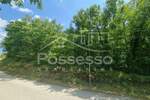 Zemljiste, Buzet, Hum, prodaja, 5906 €, 2953 m2