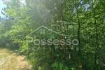 Zemljiste, Buzet, Hum, prodaja, 5906 €, 2953 m2