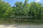 Zemljiste, Buzet, Hum, prodaja, 5906 €, 2953 m2