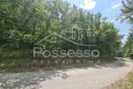 Zemljiste, Buzet, Hum, prodaja, 5906 €, 2953 m2