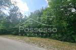 Zemljiste, Buzet, Hum, prodaja, 5906 €, 2953 m2