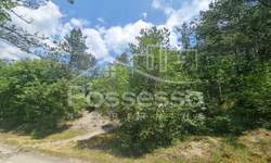 Zemljiste, Buzet, Hum, prodaja, 3758 €, 1879 m2
