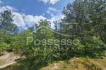 Zemljiste, Buzet, Hum, prodaja, 3758 €, 1879 m2