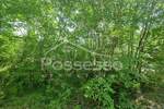 Zemljiste, Buzet, Hum, prodaja, 3758 €, 1879 m2