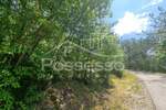 Zemljiste, Buzet, Hum, prodaja, 3758 €, 1879 m2