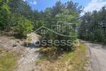 Zemljiste, Buzet, Hum, prodaja, 3758 €, 1879 m2