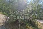 Zemljiste, Buzet, Hum, prodaja, 3758 €, 1879 m2