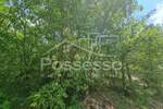 Zemljiste, Buzet, Hum, prodaja, 3758 €, 1879 m2