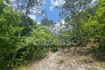 Zemljiste, Buzet, Hum, prodaja, 3758 €, 1879 m2