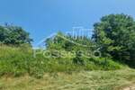 Zemljiste, Buzet, Hum, prodaja, 1415 €, 284 m2
