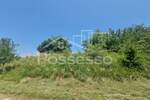 Zemljiste, Buzet, Hum, prodaja, 1415 €, 284 m2