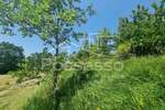 Zemljiste, Buzet, Hum, prodaja, 1415 €, 284 m2