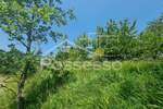 Zemljiste, Buzet, Hum, prodaja, 1415 €, 284 m2