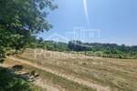 Zemljiste, Buzet, Hum, prodaja, 1415 €, 284 m2