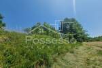 Zemljiste, Buzet, Hum, prodaja, 1415 €, 284 m2