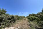 Zemljiste, Kolan, Mandre, prodaja, 3160000 €, 20302 m2