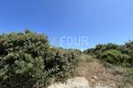 Zemljiste, Kolan, Mandre, prodaja, 3160000 €, 20302 m2