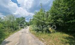 Zemljiste, Buzet, Hum, prodaja, 9723 €, 6482 m2