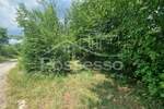 Zemljiste, Buzet, Hum, prodaja, 9723 €, 6482 m2