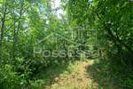 Zemljiste, Buzet, Hum, prodaja, 9723 €, 6482 m2