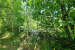 Zemljiste, Buzet, Hum, prodaja, 9723 €, 6482 m2