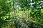 Zemljiste, Buzet, Hum, prodaja, 9723 €, 6482 m2