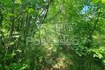 Zemljiste, Buzet, Hum, prodaja, 9723 €, 6482 m2