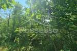 Zemljiste, Buzet, Hum, prodaja, 9723 €, 6482 m2