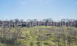 Zemljiste, Bale, Krmed, prodaja, 155000 €, 30058 m2