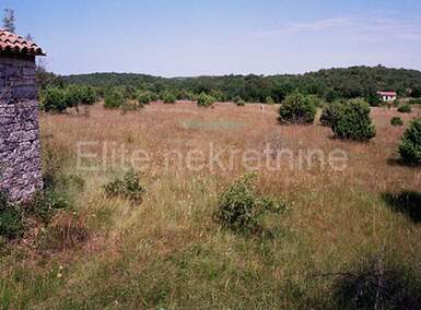 Zemljiste, Kanfanar, Šorići, prodaja, 845000 €, 24125 m2