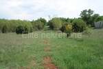 Zemljiste, Kanfanar, Šorići, prodaja, 845000 €, 24125 m2