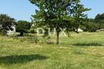 Zemljiste, Barban, prodaja, 53000 €, 642 m2