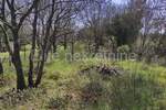 Zemljiste, Medulin, prodaja, 123500 €, 1015 m2
