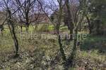 Zemljiste, Medulin, prodaja, 123500 €, 1015 m2