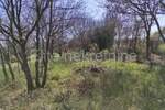 Zemljiste, Medulin, prodaja, 123500 €, 1015 m2