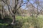 Zemljiste, Medulin, prodaja, 123500 €, 1015 m2