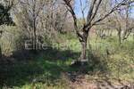 Zemljiste, Medulin, prodaja, 123500 €, 1015 m2