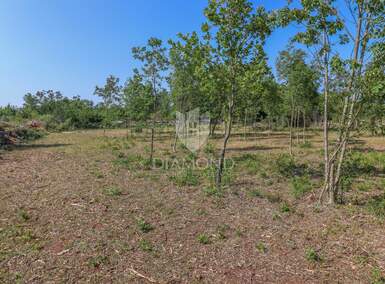 Zemljiste, Svetvinčenat, prodaja, 75000 €, 908 m2