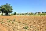 Zemljiste, Medulin, Pomer, prodaja, 185000 €, 2052 m2