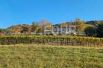 Kuca, Cerovlje, prodaja, 620000 €, 400 m2