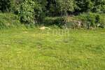 Zemljiste, Klana, Škalnica, prodaja, 62500 €, 794 m2