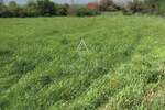 Zemljiste, Pula, Centar, prodaja, 139500 €, 758 m2